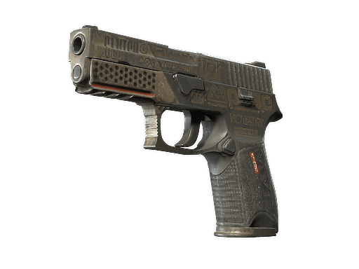 P250 | Bullfrog - Battle-Scarred