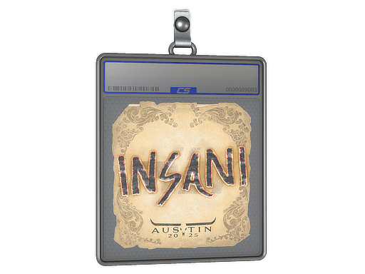 Sticker Slab | insani | Austin 2025