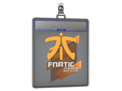 Sticker Slab | Fnatic | Boston 2018