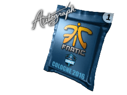 Fnatic Cologne 2016