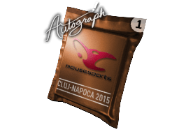 mousesports Cluj Napoca 2015