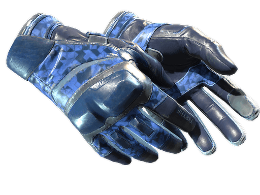 ★ Moto Gloves | Polygon - Field-Tested