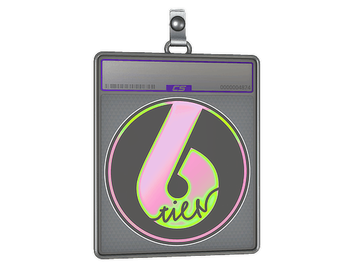 Sticker Slab | Watermelon Tier6 (Holo)