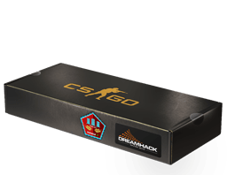 DreamHack 2014 Mirage Souvenir Package