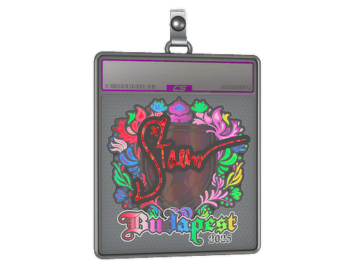 Sticker Slab | Staehr (Holo) | Budapest 2025