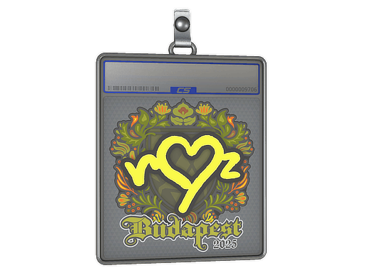 Sticker Slab | ropz | Budapest 2025