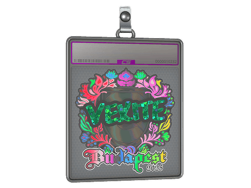 Sticker Slab | vexite (Holo) | Budapest 2025