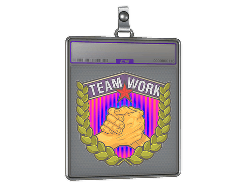 Sticker Slab | Teamwork (Holo)