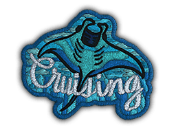 Patch | Cruising Ray