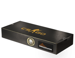 DreamHack 2014 Dust II Souvenir Package