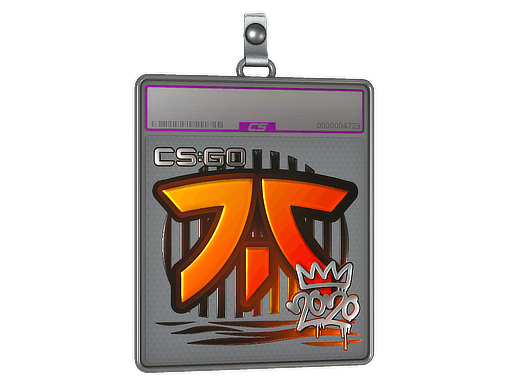 Sticker Slab | Fnatic (Foil) | 2020 RMR