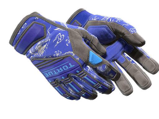 ★ Specialist Gloves | Cloud Chaser - Field-Tested