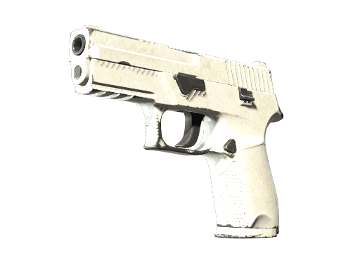 P250 | Whiteout - Field-Tested