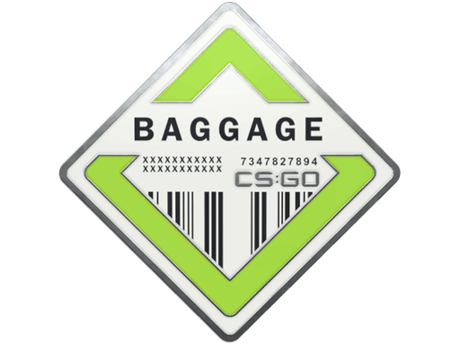 Baggage Pin