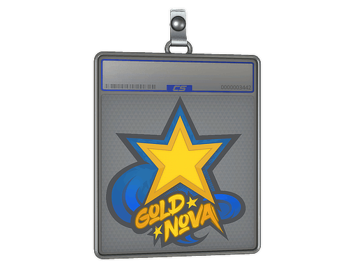 Sticker Slab | Gold Nova