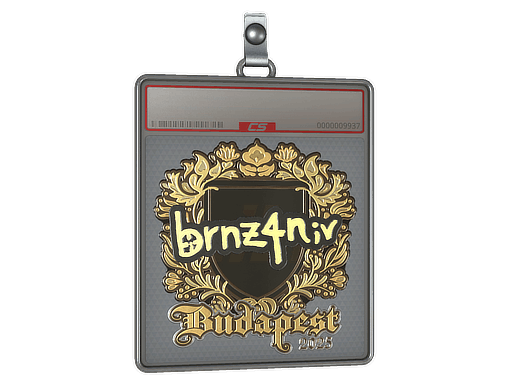 Sticker Slab | brnz4n (Gold) | Budapest 2025