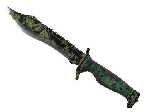 ★ Bowie Knife | Boreal Forest