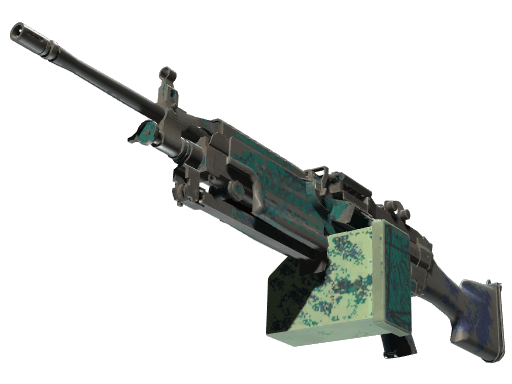 M249 | Shipping Forecast