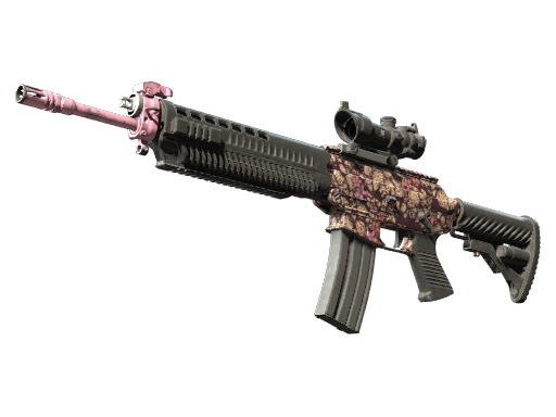 SG 553 | Desert Blossom - Field-Tested