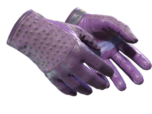 ★ Driver Gloves | Plum Quill - Field-Tested