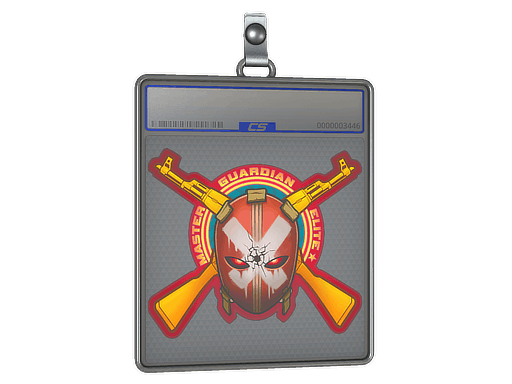 Sticker Slab | Master Guardian Elite