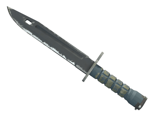 ★ Bayonet | Night - Field-Tested