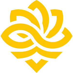 saadzin