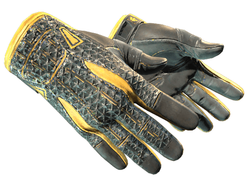Sport Gloves