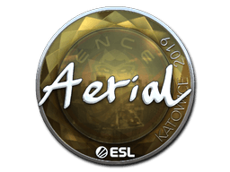 Sticker | Aerial (Gold) | Katowice 2019
