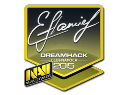 Sticker | flamie (Foil) | Cluj-Napoca 2015