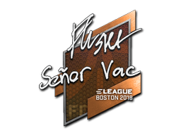 Sticker | flusha (Foil) | Boston 2018