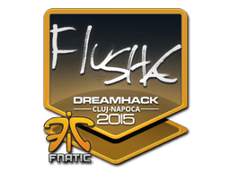 Sticker | flusha (Foil) | Cluj-Napoca 2015