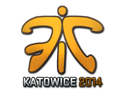 Sticker | Fnatic | Katowice 2014