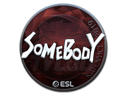 Sticker | somebody | Katowice 2019