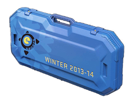 eSports 2013 Winter Case Skins