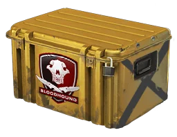 Falchion Case Skins