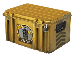 Glove Case Skins