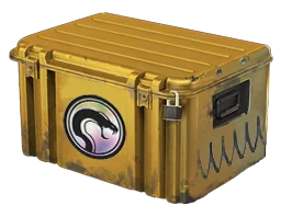 Recoil Case Skins