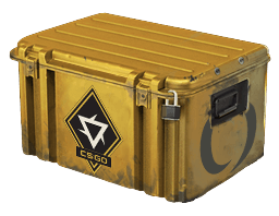 Revolution Case Skins