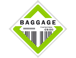 The Baggage Collection Skins
