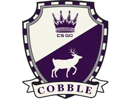 The Cobblestone Collection Skins