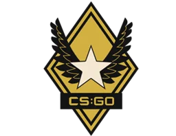 The Winter Offensive Collection Skins