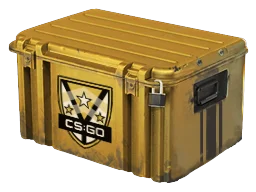 Weapon Cases