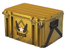 Winter Offensive Weapon Case Skins
