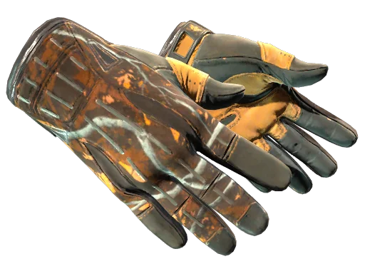 ★ Sport Gloves | Big Game