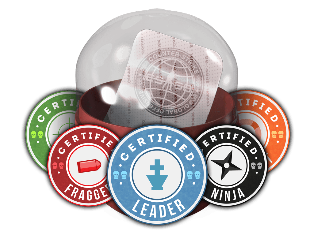 Team Roles Capsule