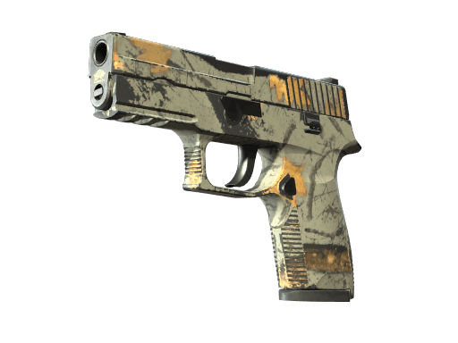 P250 | Modern Hunter