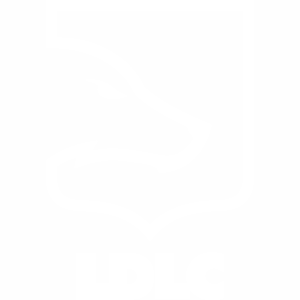 Team LDLC.com
